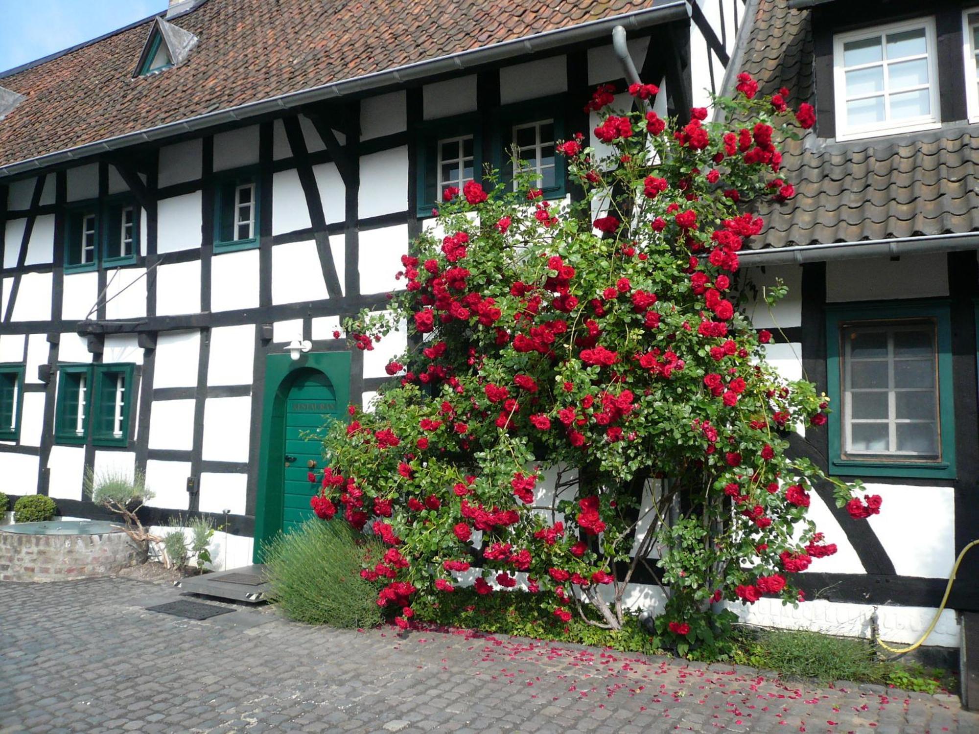 Falderhof Köln Exterior foto